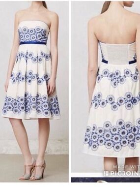 STUNNING Anthropologie Moulinette Soeurs forget me not floral embroidered dress